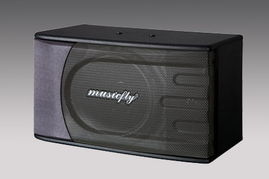 广州市番禺区桥南街豪杰音响厂 一站式采购KTV专业音响设备解决方案